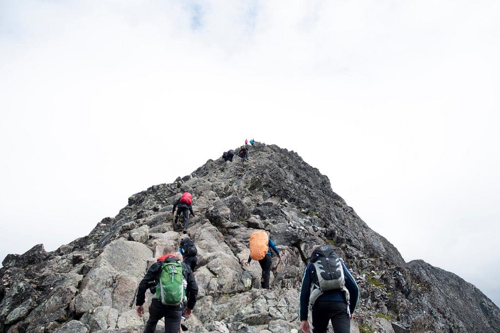 Do Lean Leadership Principles Align with the Lean Startup Concept?